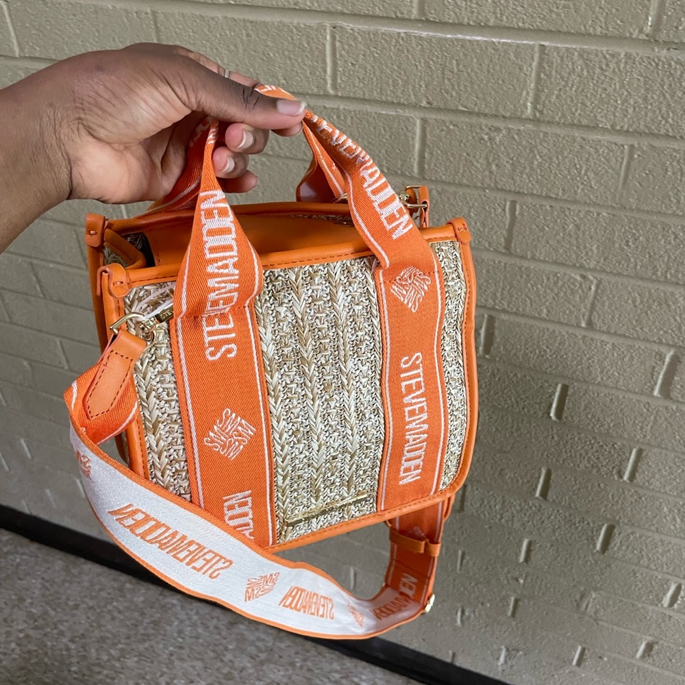 Steve Madden Bwebber Straw Statchel Bag